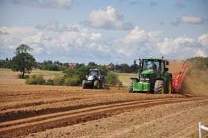 Agricultura românească în impas: prea mulţi fermieri, prea puţină performanţă